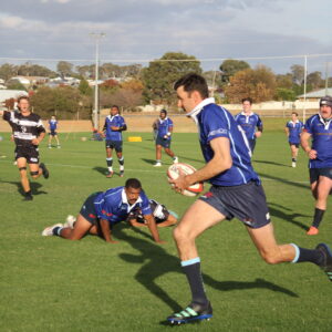 Waratahs Fall Short in High-Scoring Thriller