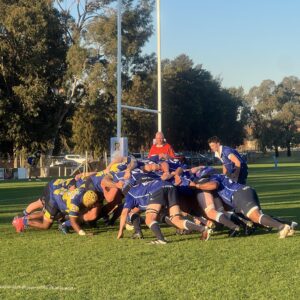 Waratahs Demolish Opposition in Record-Breaking Home Victory
